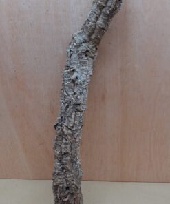 Small Cork Tube - 40-60cm - 8