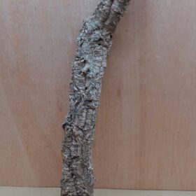 Small Cork Tube - 40-60cm - 8