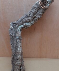 Small Cork Tube - 40-60cm - 10