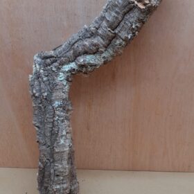 Small Cork Tube - 40-60cm - 10