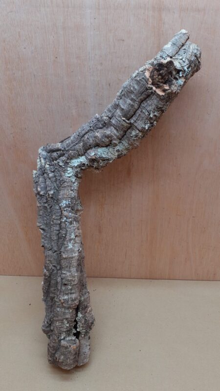 Small Cork Tube - 40-60cm - 10
