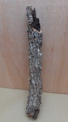 Small Cork Tube - 40-60cm - 17