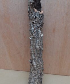 Small Cork Tube - 40-60cm - 17