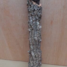 Small Cork Tube - 40-60cm - 17