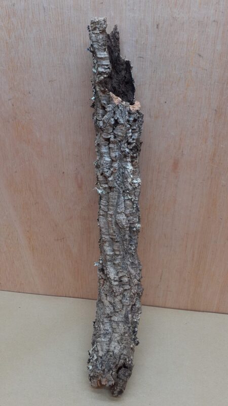 Small Cork Tube - 40-60cm - 17