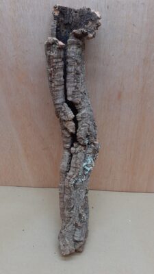 Small Cork Tube - 40-60cm - 19