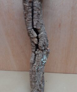 Small Cork Tube - 40-60cm - 19