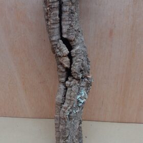 Small Cork Tube - 40-60cm - 19