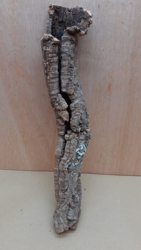 Small Cork Tube - 40-60cm - 19