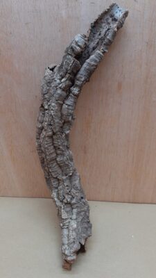 Small Cork Tube - 40-60cm - 20