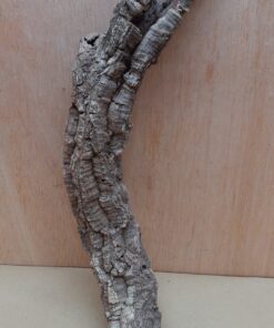 Small Cork Tube - 40-60cm - 20
