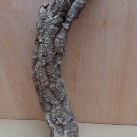 Small Cork Tube - 40-60cm - 20