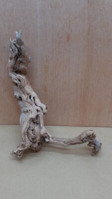 Sandblasted Grapevine - Small 1