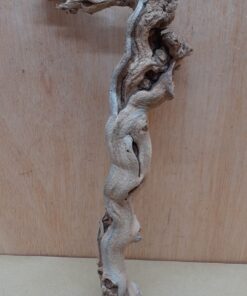 Sandblasted Grapevine - Small 2