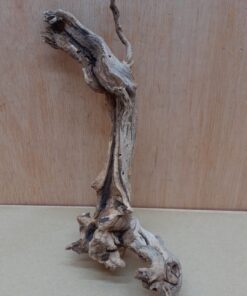 Sandblasted Grapevine - Small 3