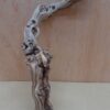 Sandblasted Grapevine - Small 5