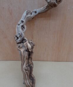 Sandblasted Grapevine - Small 5