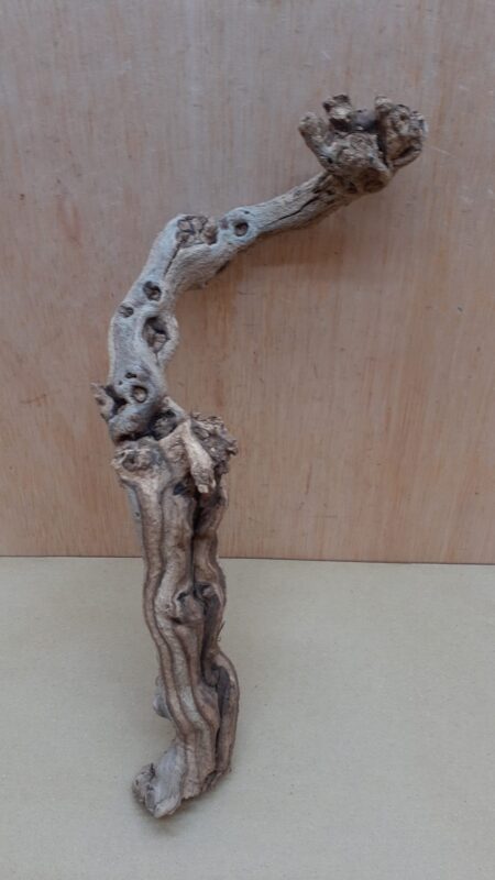 Sandblasted Grapevine - Small 5