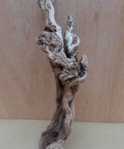 Sandblasted Grapevine - Small 6