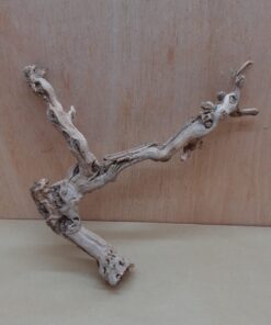 Sandblasted Grapevine - Small 7