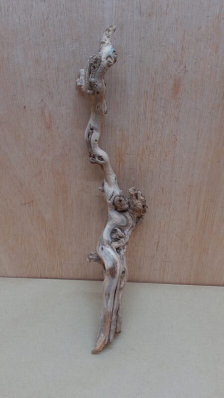 Sandblasted Grapevine - Small 8