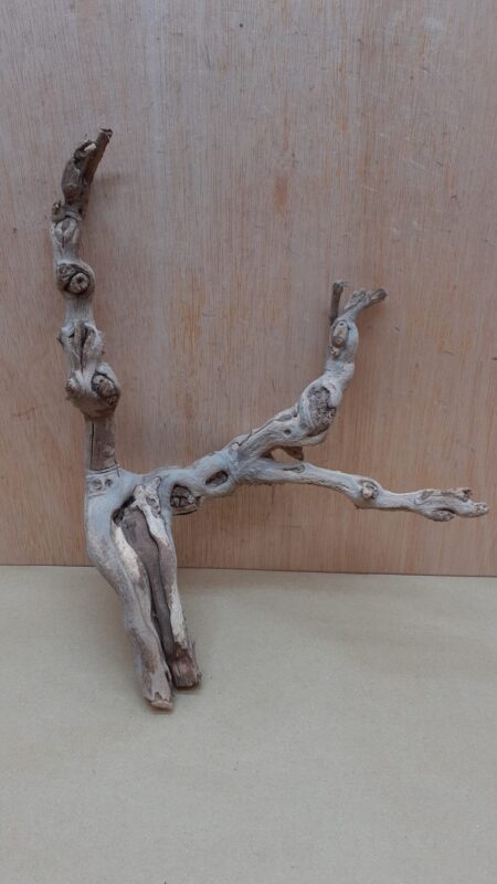 Sandblasted Grapevine - Small 10
