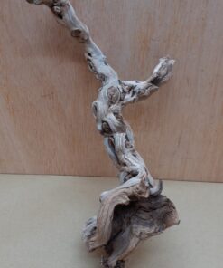 Sandblasted Grapevine - Small 12
