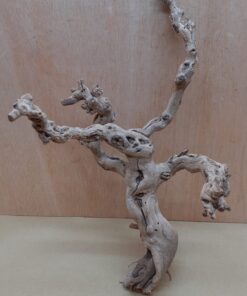 Sandblasted Grapevine - Medium 5