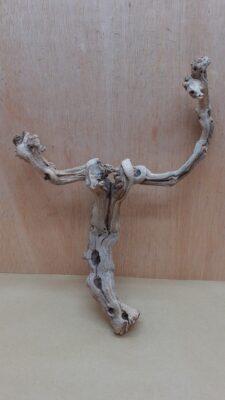Sandblasted Grapevine - Medium 6