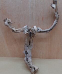 Sandblasted Grapevine - Medium 6