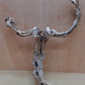 Sandblasted Grapevine - Medium 6