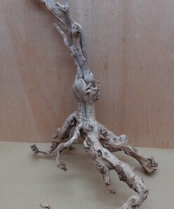 Sandblasted Grapevine - Medium 10