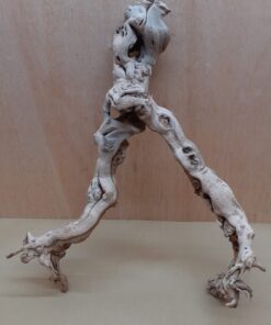 Sandblasted Grapevine - Medium 11