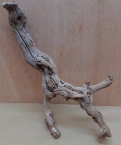 Sandblasted Grapevine - Medium 12