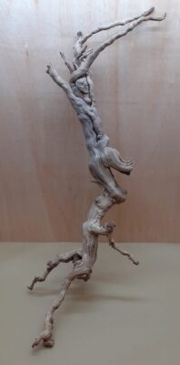 Sandblasted Grapevine - XL 4
