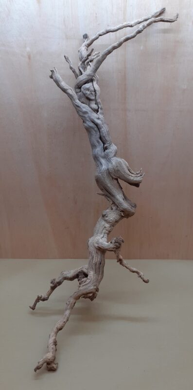 Sandblasted Grapevine - XL 4