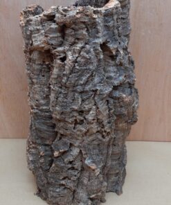Medium Cork Tube - Upto 40cm - 16