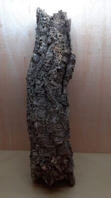 Large Cork Tube - 80-110cm - 4