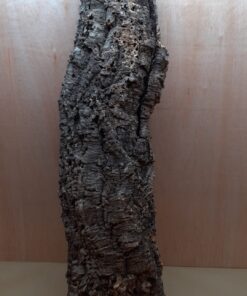 Large Cork Tube - 80-110cm - 4