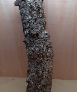 Large Cork Tube - 80-110cm - 5