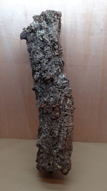 Large Cork Tube - 80-110cm - 5