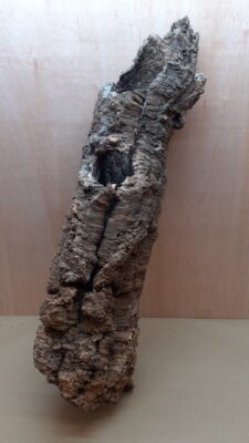 Large Cork Tube - 80-110cm - 6