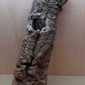 Large Cork Tube - 80-110cm - 6