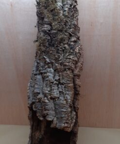 Large Cork Tube - 80-110cm - 7