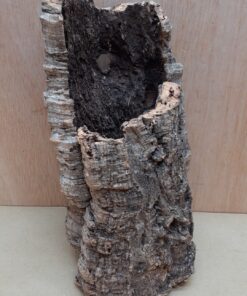 Small Cork Tube - Upto 40cm - 3