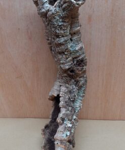 Small Cork Tube - Upto 40cm - 18