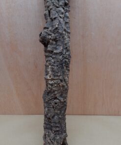 Small Cork Tube - 40-60cm - 2