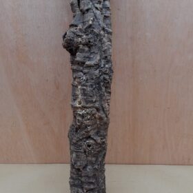 Small Cork Tube - 40-60cm - 2
