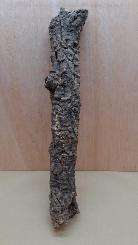Small Cork Tube - 40-60cm - 2