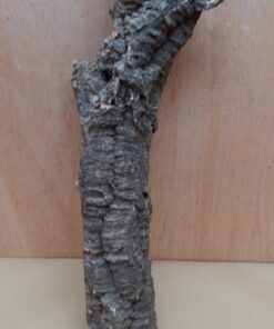 Small Cork Tube - 40-60cm - 3